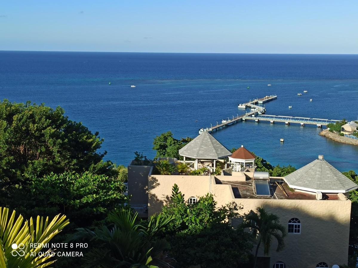 Columbus Heights Apt 26 F Ocho Rios Zewnętrze zdjęcie